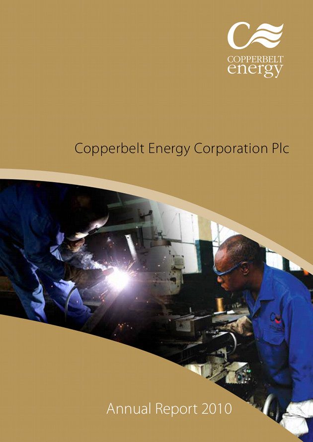 CEC 2010 Annual Report