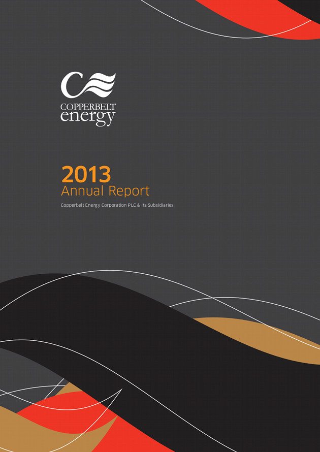 CEC 2013 Annual Report